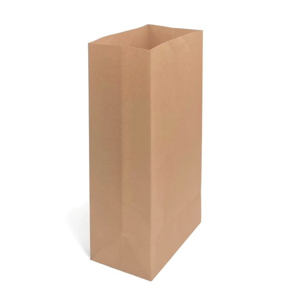 Kraft Paper Grocery Bags