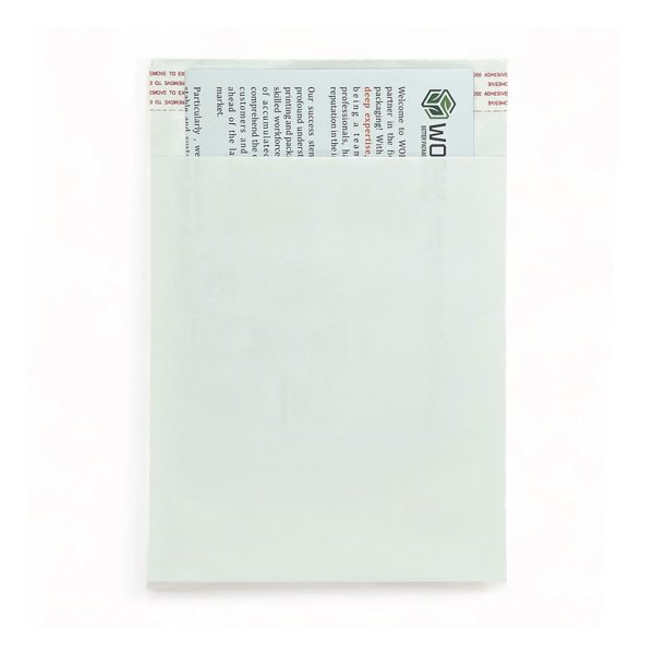 Business Envelope