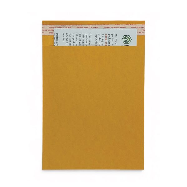 Business Envelope
