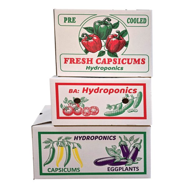 Carton Box