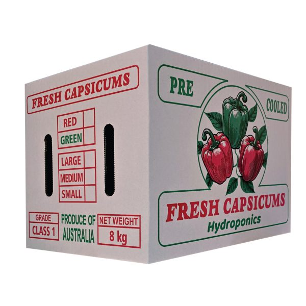 Carton Box
