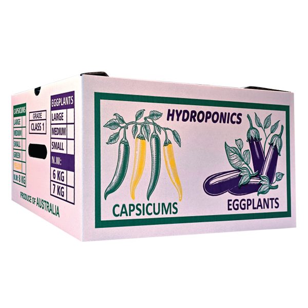Carton Box