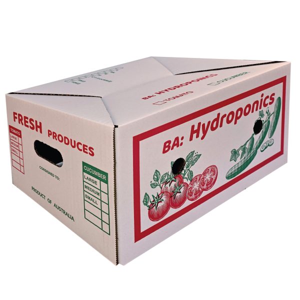 Carton Box