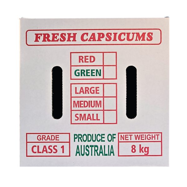 Carton Box