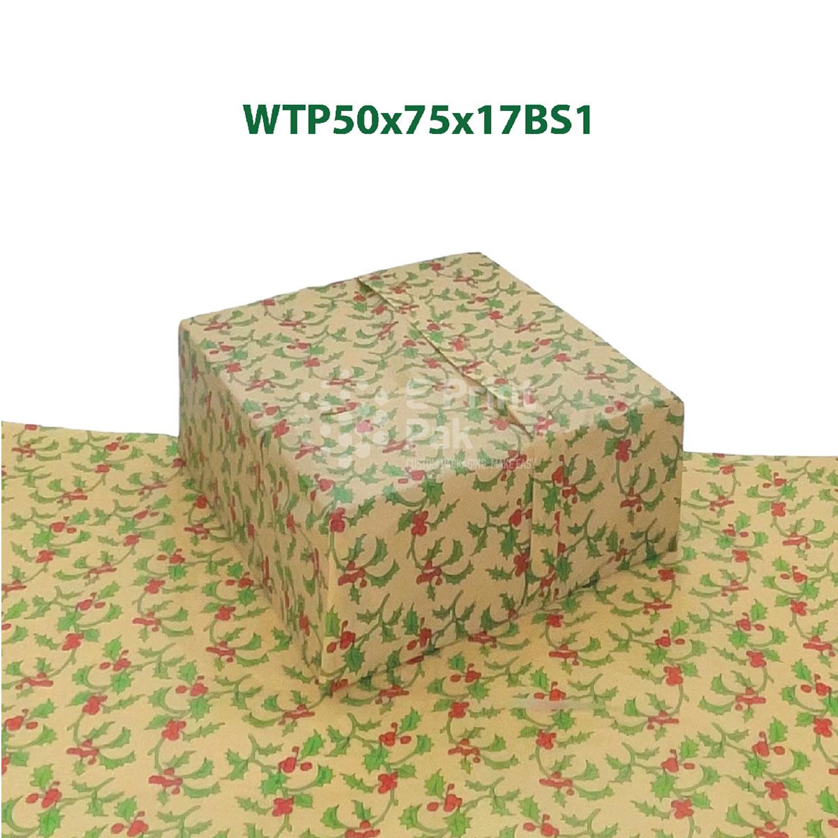 WTP50x75x17BS1-02-02