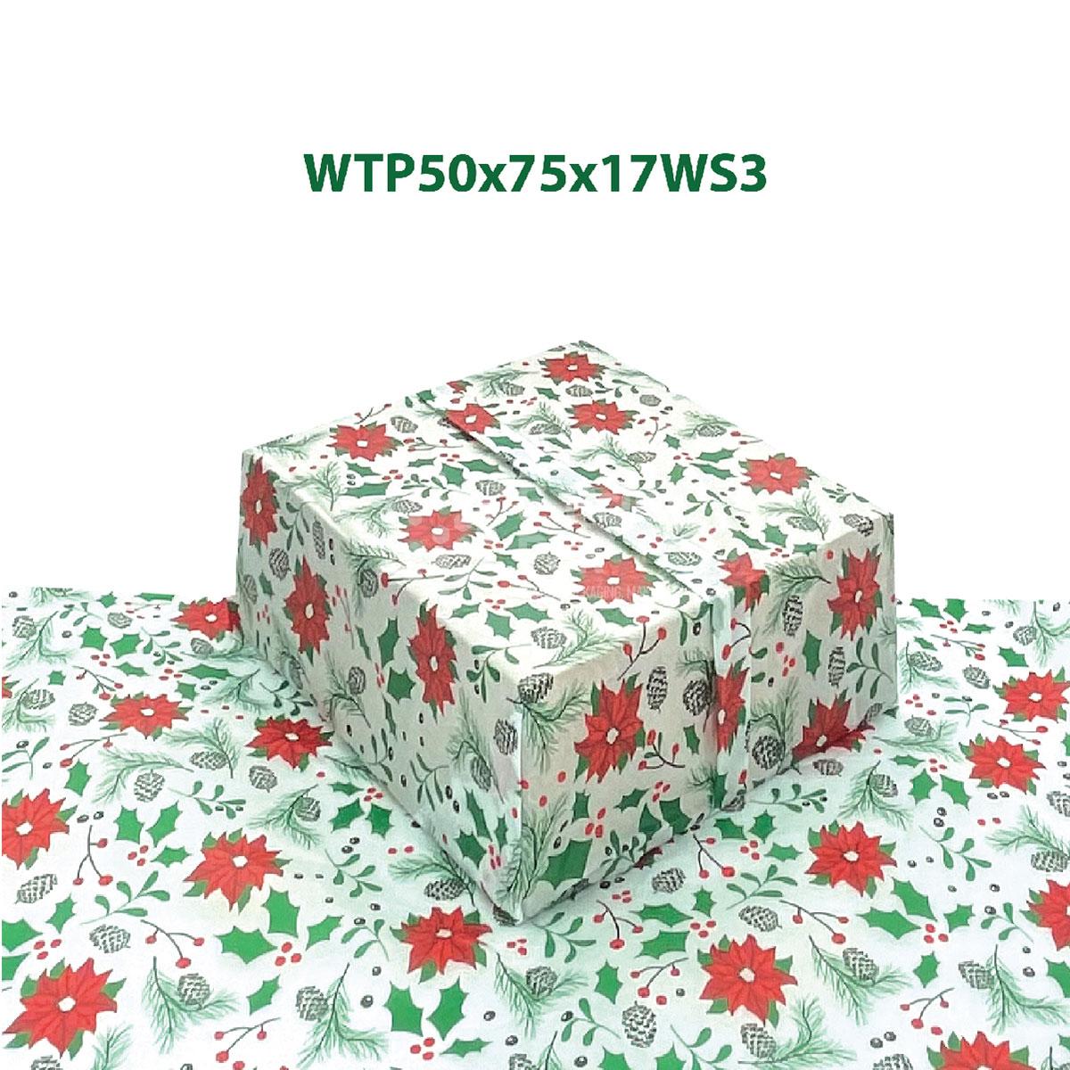 WTP50x75x17WS3-02-02